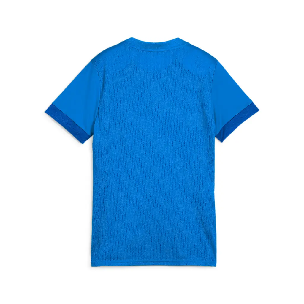 Puma teamGOAL Matchday Trikot blau Damen
