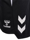 Hummel Lead 2.0 Shorts schwarz