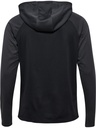 Hummel Lead 2.0 Kapuzenjacke schwarz