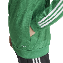 adidas Squadra 25 Kapuzenjacke grün