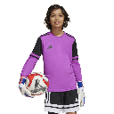 adidas Squadra 25 Torwarttrikot Langarm pink Kinder