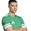 adidas Squadra 25 Trikot grün