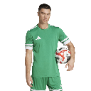 adidas Squadra 25 Trikot grün