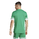 adidas Squadra 25 Trikot grün