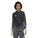 T25 C GK JSY LY
