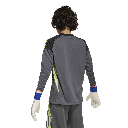 T25 C GK JSY LY