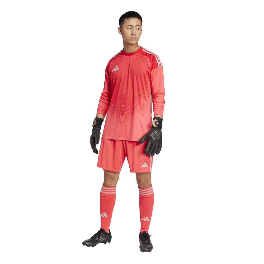 T25 C GK JSY LM