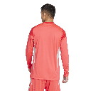 T25 C GK JSY LM