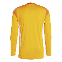 T25 C GK JSY LM