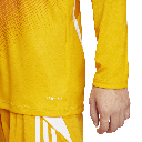 T25 C GK JSY LM