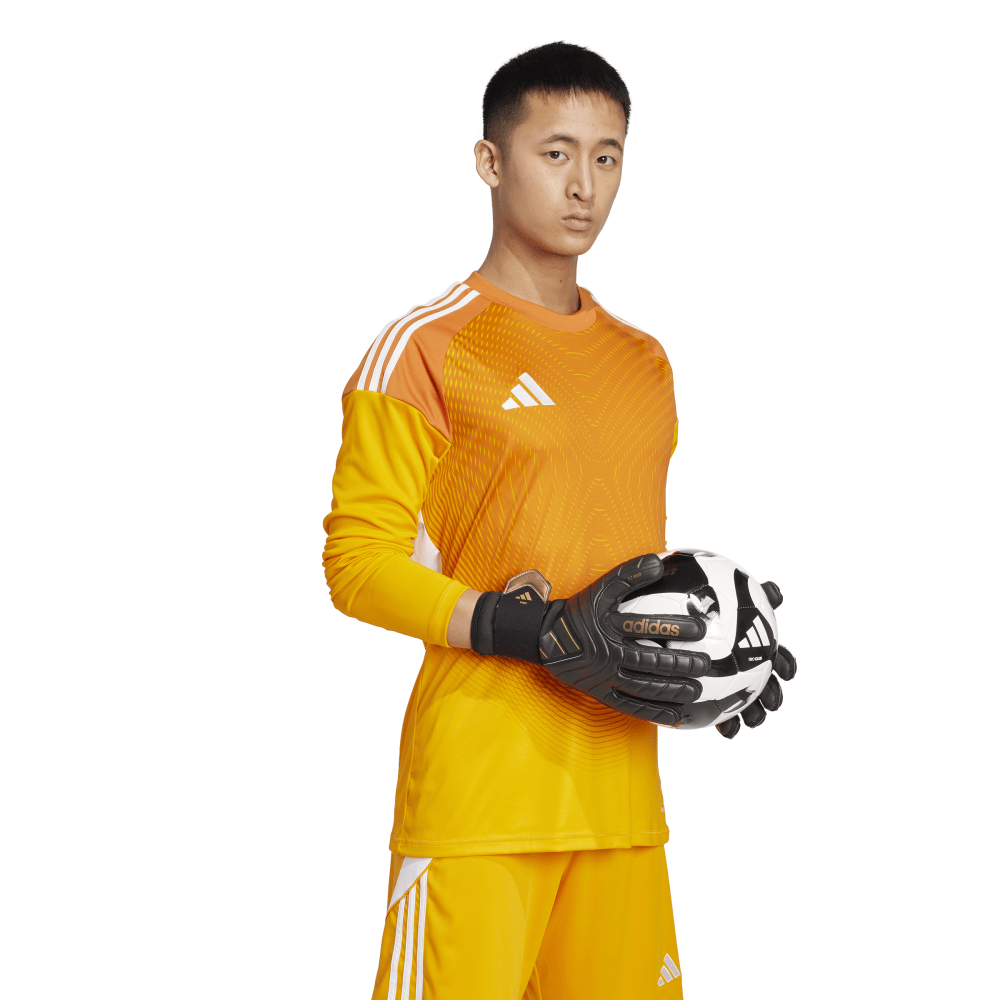 T25 C GK JSY LM