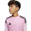 T25 C GK JSY LY