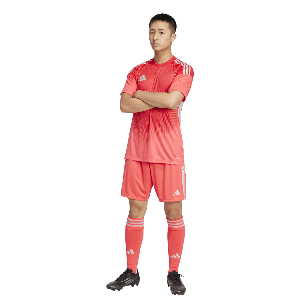 T25 C GK JSY M