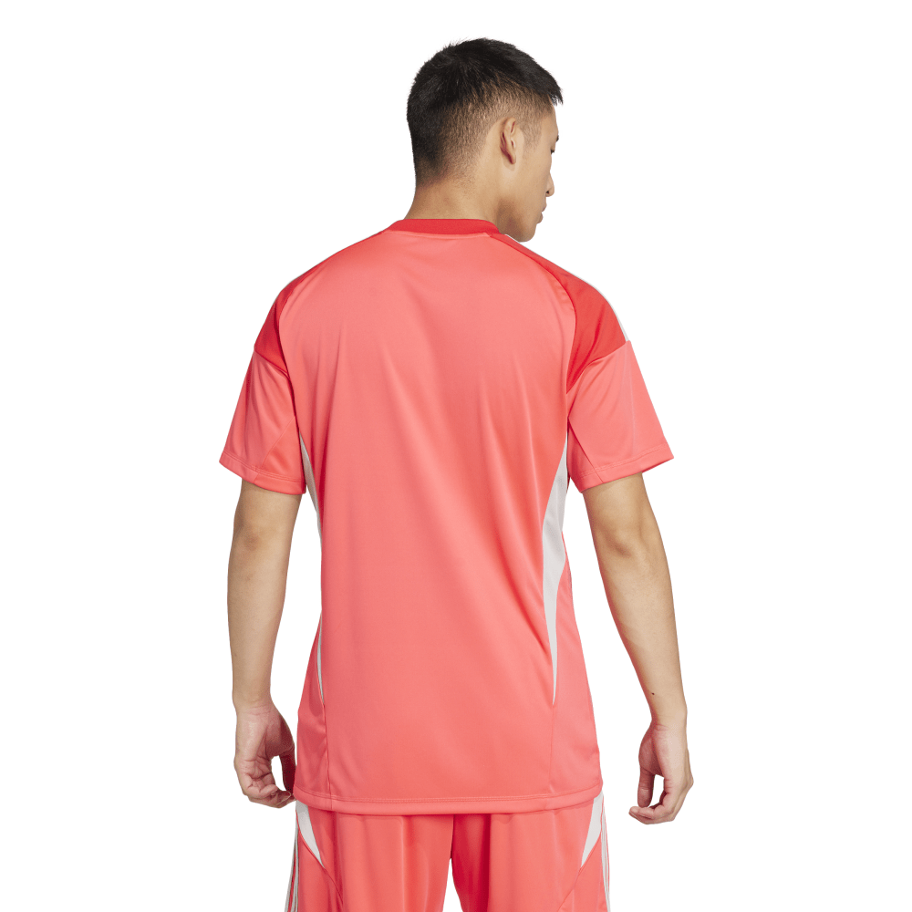T25 C GK JSY M