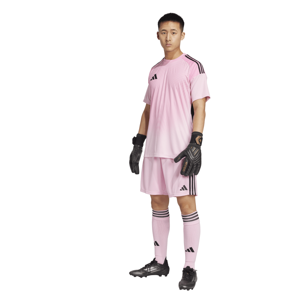 T25 C GK JSY M