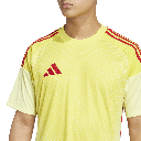 T25 C GK JSY M