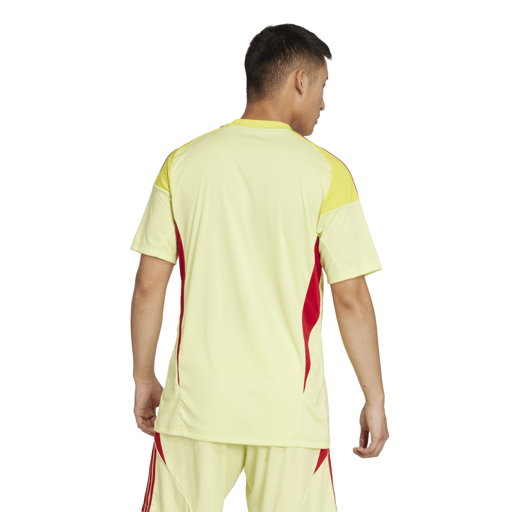 T25 C GK JSY M