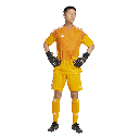 T25 C GK JSY M