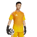 T25 C GK JSY M