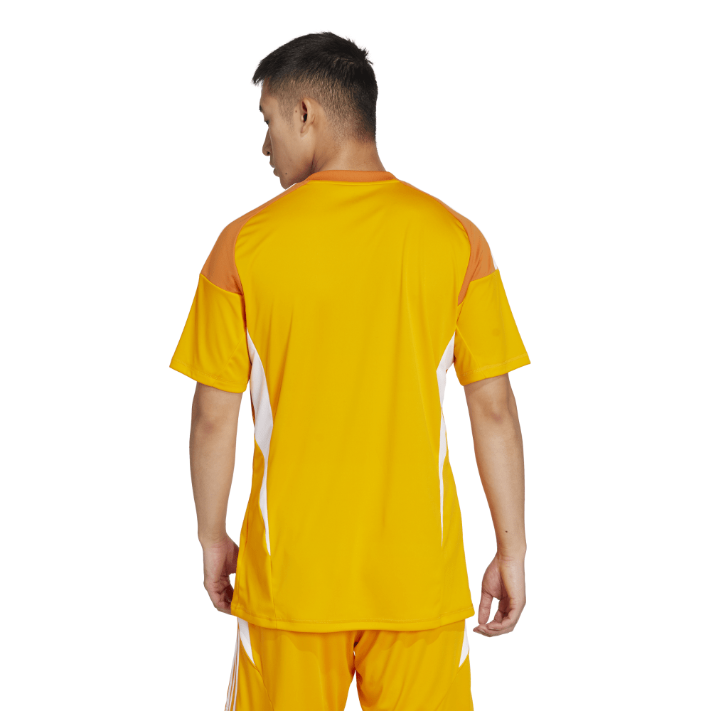 T25 C GK JSY M