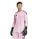 T25 C GK JSY LM