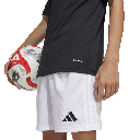 SQ25 C POLO Y