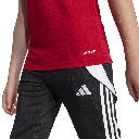 SQ25 C POLO Y