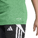 SQ25 C POLO Y