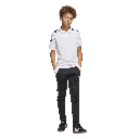 SQ25 C POLO Y