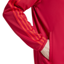 FCB DNA TT