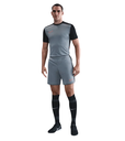 Nike Academy Dri Fit Shorts grau