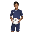 adidas Entrada 26 Trikot blau Kinder