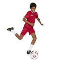 adidas Entrada 26 Trikot rot Kinder