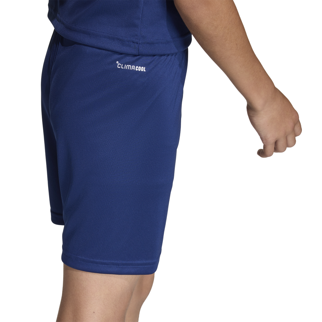 adidas Entrada 26 Shorts blau Kinder 