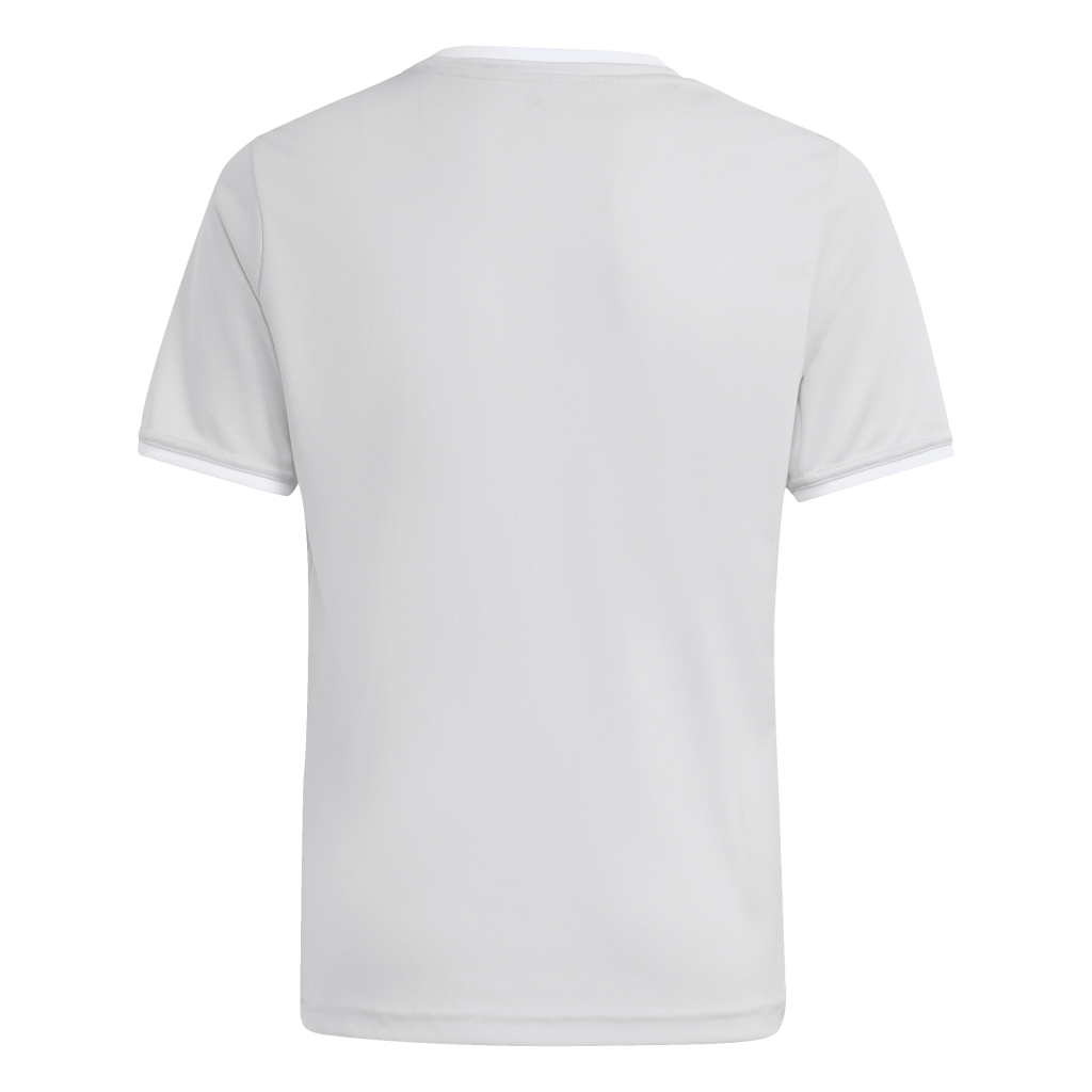 adidas Entrada 26 Trikot grau Kinder