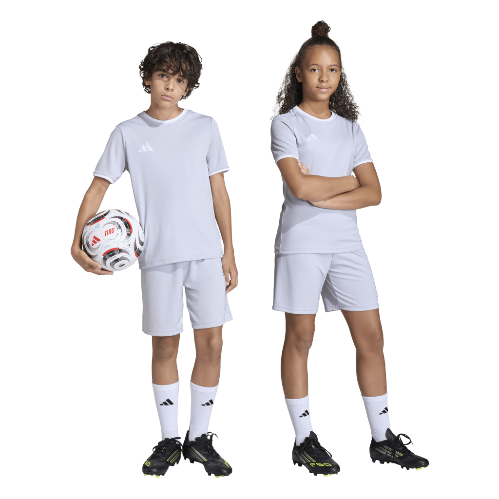 adidas Entrada 26 Shorts grau Kinder 