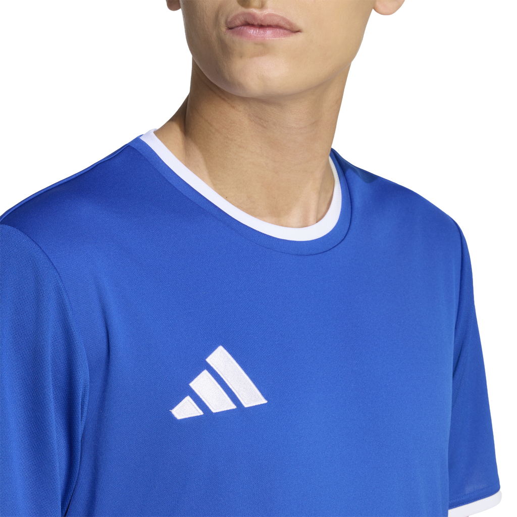 adidas Entrada 26 Trikot blau 