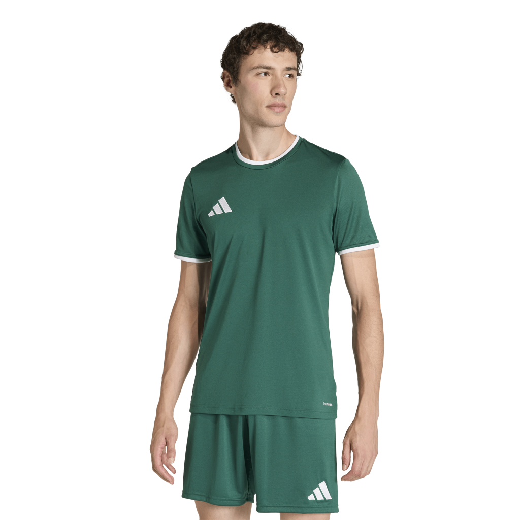 adidas Entrada 26 Trikot grün 