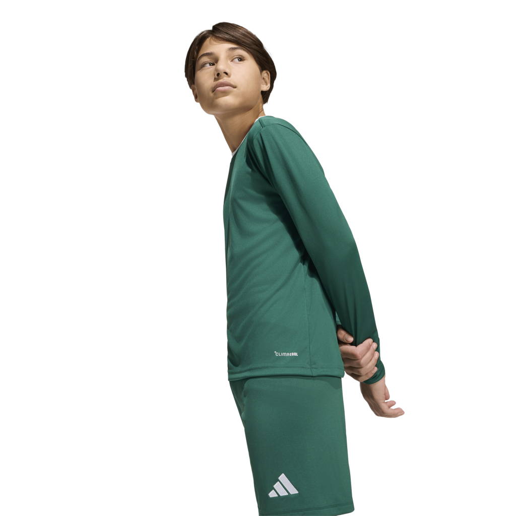 adidas Entrada 26 Trikot Langarm grün Kinder
