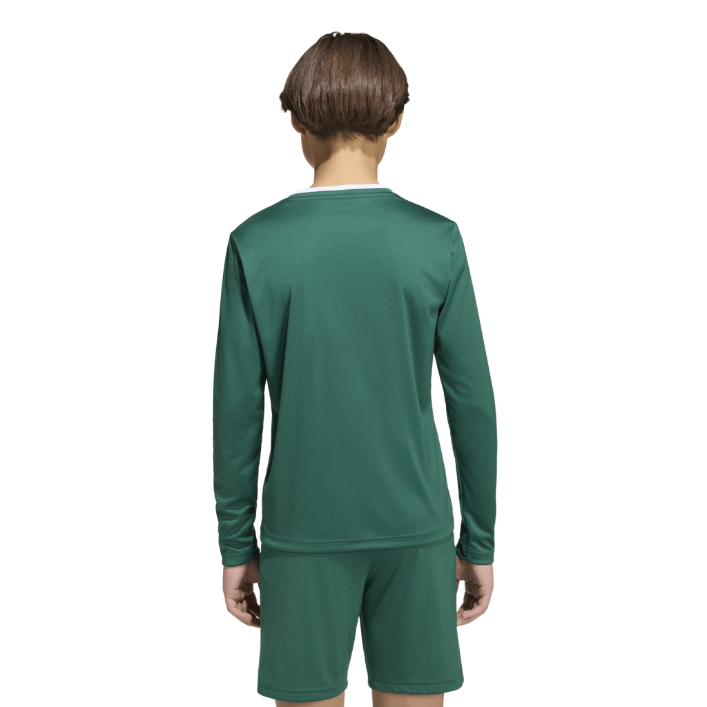 adidas Entrada 26 Trikot Langarm grün Kinder