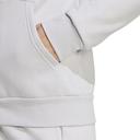 adidas Entrada 26 Fleece Kapuzenjacke grau Damen