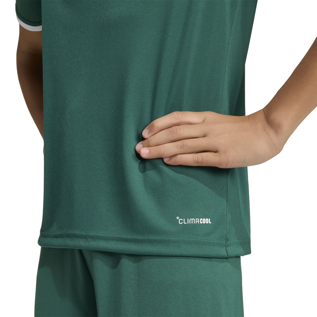 adidas Entrada 26 Trikot grün Kinder