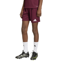 adidas Entrada 26 Shorts rot Kinder 