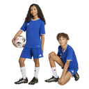 adidas Entrada 26 Shorts blau Kinder 