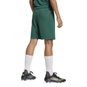 adidas Entrada 26 Shorts grün Kinder 