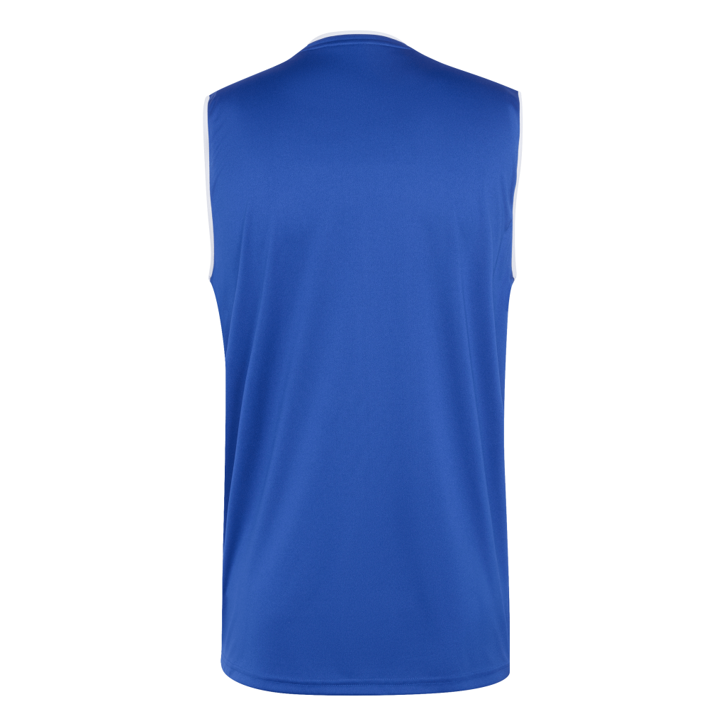 adidas Entrada 26 Trikot Ärmellos blau 