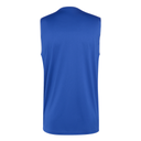 adidas Entrada 26 Trikot Ärmellos blau 