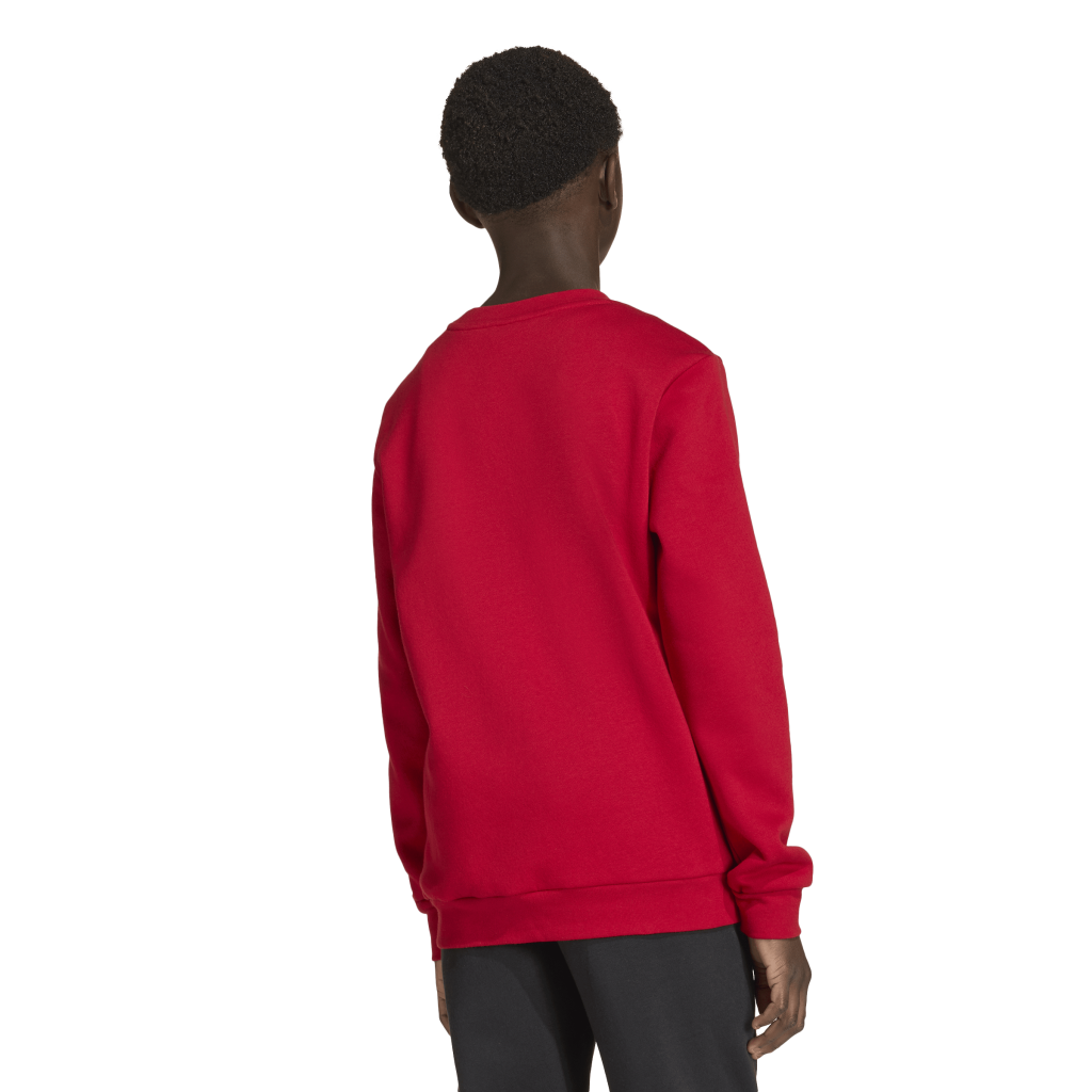  adidas Entrada 26 Sweatshirt rot Kinder