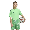 adidas Tiro 26 Competition Torwarttrikot grün Kinder