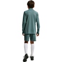 Nike Academy Dri-FIT Fußball Shorts grün 